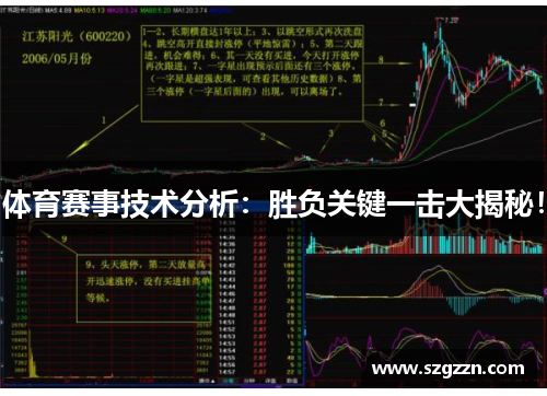 体育赛事技术分析：胜负关键一击大揭秘！