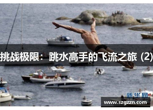 挑战极限：跳水高手的飞流之旅 (2)