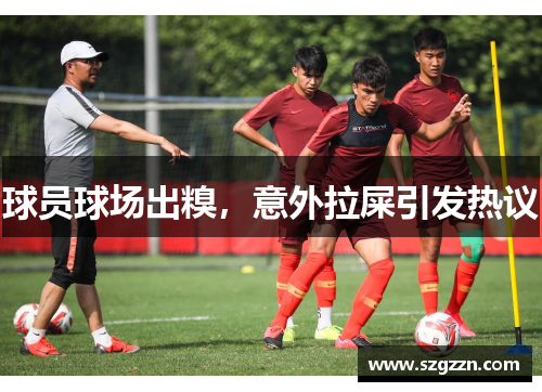 球员球场出糗，意外拉屎引发热议